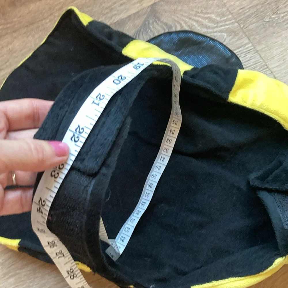 Small dog Halloween bumblebee costume, new